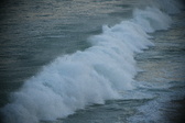 Enlarge photo 496