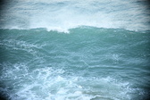 Enlarge photo 497