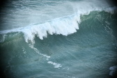 Enlarge photo 499