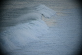 Enlarge photo 514
