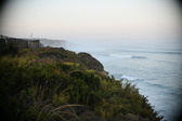 Enlarge photo 516