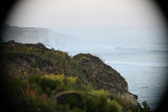 Enlarge photo 517