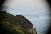 Enlarge photo 519