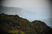 Enlarge photo 520