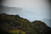 Enlarge photo 521