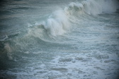 Enlarge photo 537