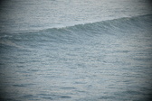 Enlarge photo 539