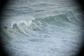 Enlarge photo 554