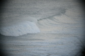 Enlarge photo 570
