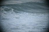 Enlarge photo 572