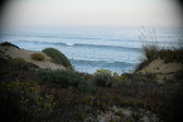 Enlarge photo 589
