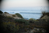 Enlarge photo 590