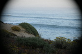 Enlarge photo 591