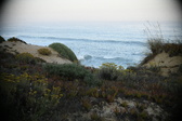 Enlarge photo 593