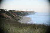 Enlarge photo 595