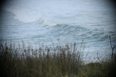 Enlarge photo 598