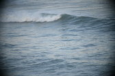 Enlarge photo 614