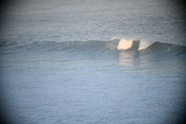 Enlarge photo 620