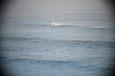 Enlarge photo 626