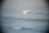 Enlarge photo 629