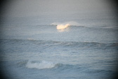 Enlarge photo 632