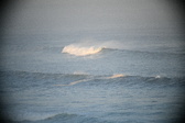 Enlarge photo 636
