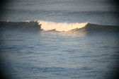 Enlarge photo 638