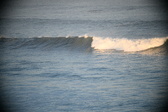 Enlarge photo 639