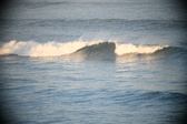 Enlarge photo 642