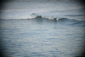 Enlarge photo 647