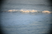 Enlarge photo 648