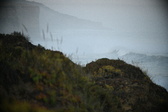 Enlarge photo 36