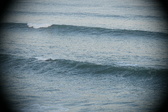 Enlarge photo 40