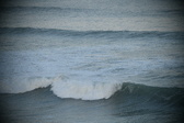 Enlarge photo 45