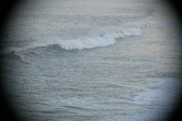 Enlarge photo 55