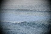 Enlarge photo 132