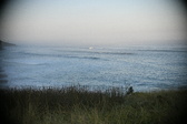 Enlarge photo 138
