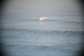 Enlarge photo 140