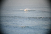 Enlarge photo 141