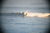 Enlarge photo 153