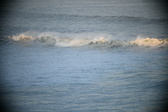 Enlarge photo 162