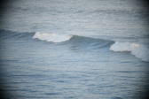 Enlarge photo 168