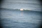 Enlarge photo 169