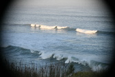 Enlarge photo 173