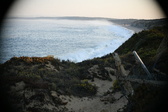Enlarge photo 177
