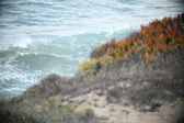 Enlarge photo 179
