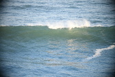 Enlarge photo 181