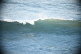 Enlarge photo 184