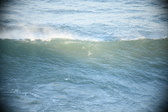 Enlarge photo 185