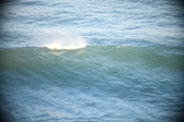 Enlarge photo 186